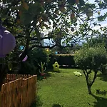 Moni * Giarre