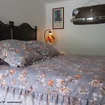 Moni Tatil Evi *
