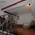 Moni *